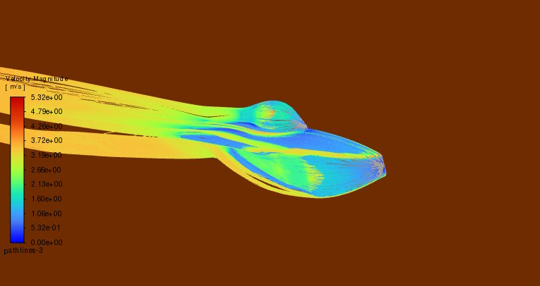 Early Ansys flow sim showing velocity over the body